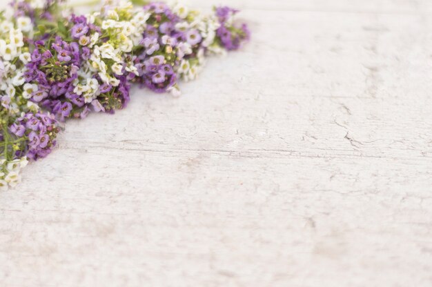 Oppervlak met paarse en witte bloemen