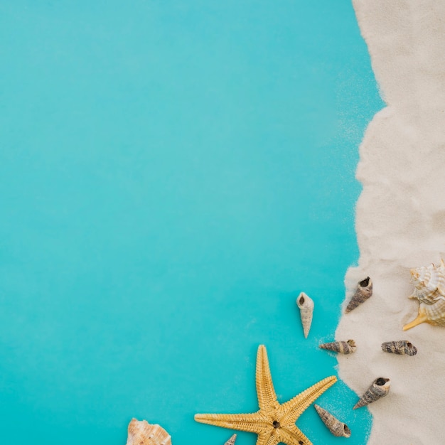 Oppervlakte met decoratieve zeeschelpen voor de zomer