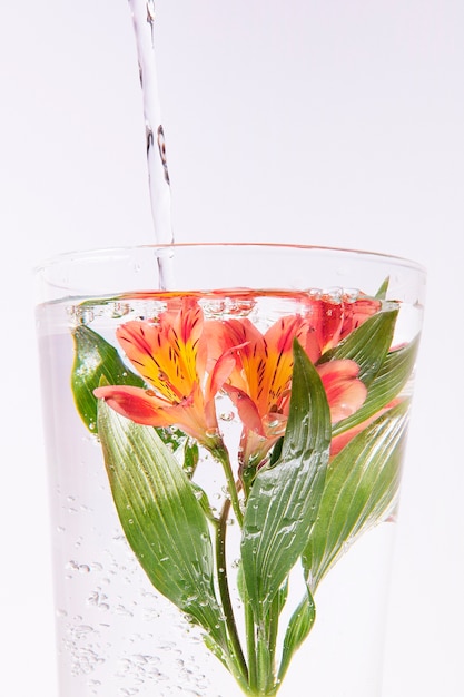 Oranje bloem in een glas water met inkt