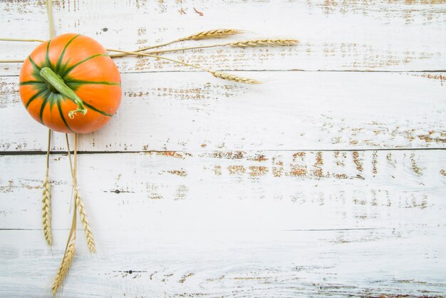 Oranje pompoen op tafel met tarwe