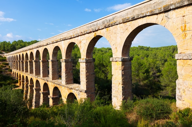 Gratis foto oud aquaduct in de zomerbos. tarragona