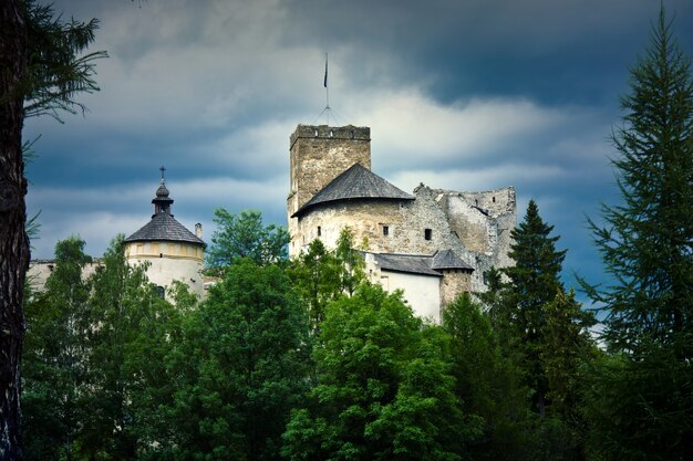 Oud kasteel in de mountians.