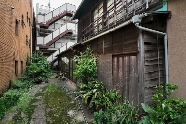 Oud verlaten huis met groene planten