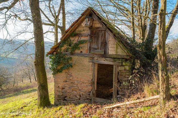 Oud verlaten huisje op de heuvel omgeven door bomen