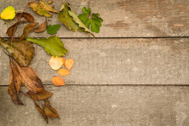 Gratis foto oude bladeren op houten vloer