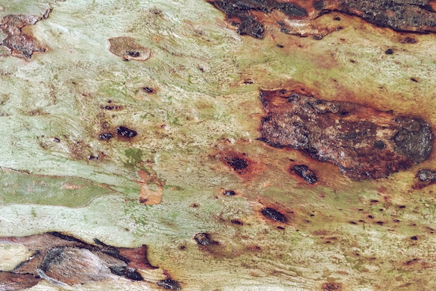 Oude houten natuurlijke textuurachtergrond