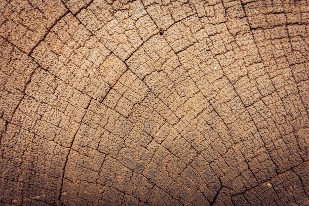 Oude houten texturen