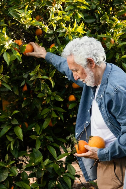 Oude man buiten naast zijn sinaasappelbomen