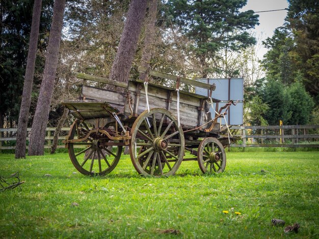 Oude verweerde wagen in de tuin overdag