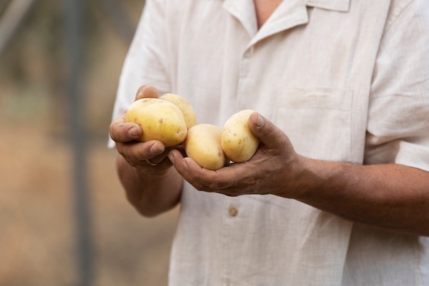 Gratis foto oudere man plukt aardappelen uit zijn landelijke moestuin