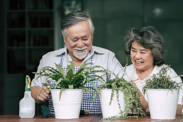 Oudere stellen die samen praten en bomen in potten planten.