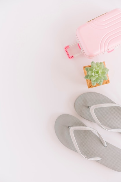 Paar flip-flops; succulente installatie en kleine bagagezak op witte achtergrond