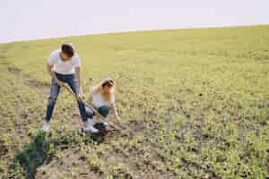 Gratis foto paar landbouw op landbouwgebied