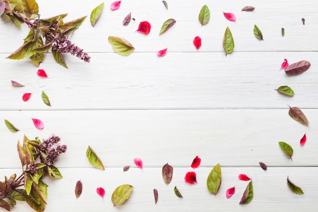 Paarse bloemen en bloembladen