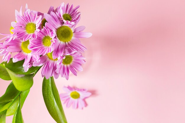 Paarse bloemen op roze achtergrond