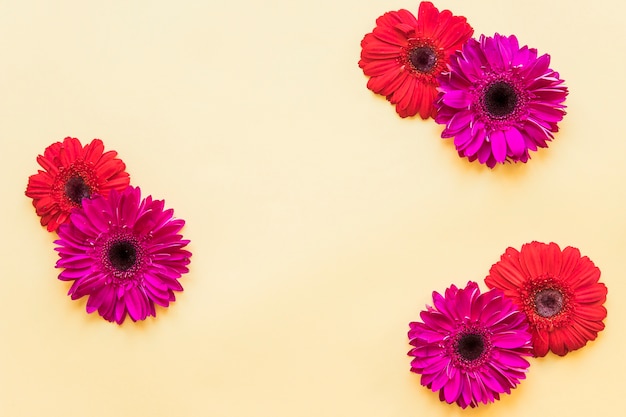 Paarse en rode bloemen arrangement