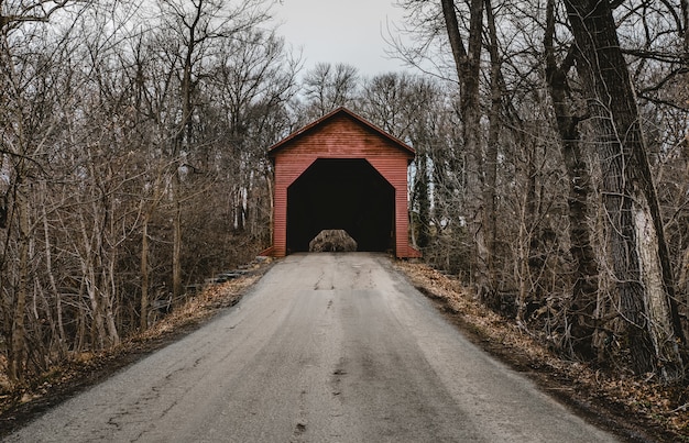Gratis foto pad dat leidt naar een kleine rode garage in het bos met kale bomen in de winter