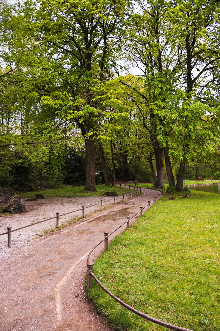 Gratis Foto pad door park met groene bomen