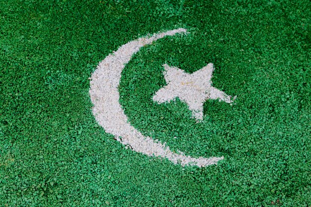 Pakistan land vlag gemaakt van wit en groen geliefde