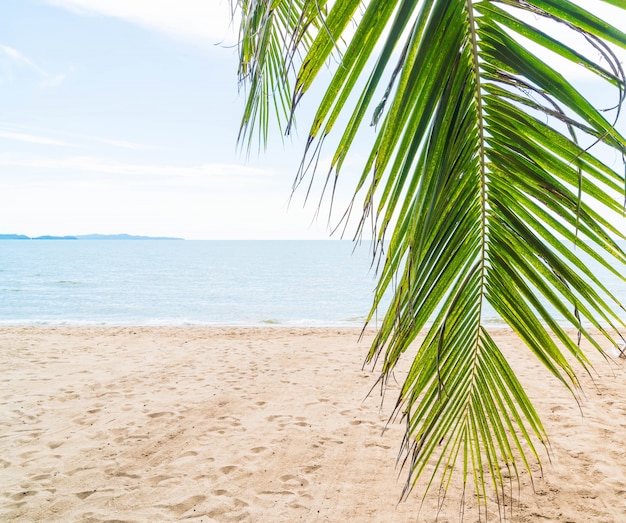 Palm en tropisch strand in Pattaya in Thailand