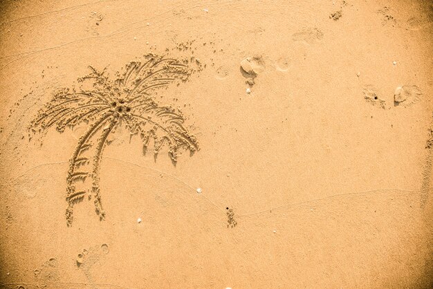 Palm in het zand wordt getrokken dat