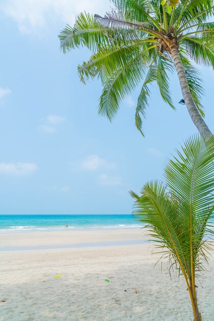 Palm met strand en zee