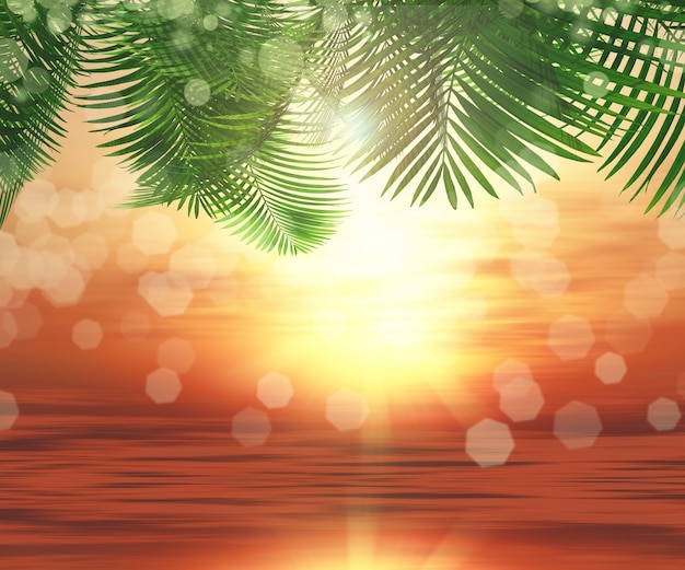 Palm met zee achtergrond