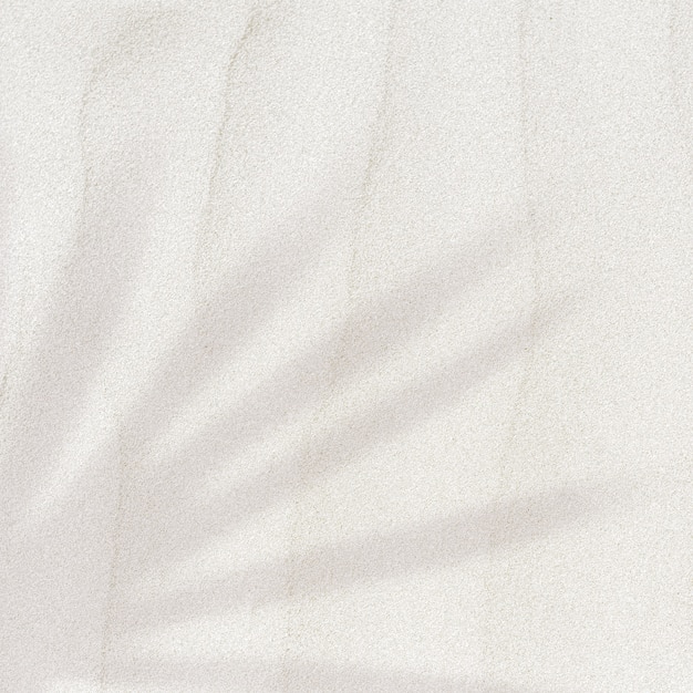 Palmbladschaduw op een zand getextureerde achtergrond met kopieerruimte