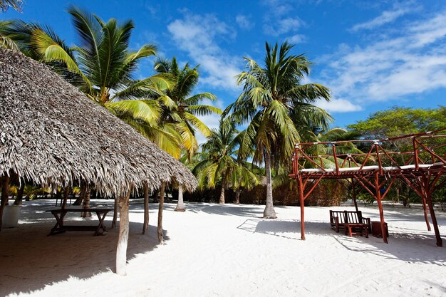 Palmbomen in Caraïbisch strand