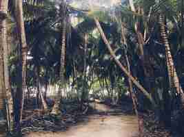 Gratis foto palmen groeien naast elkaar in de jungles