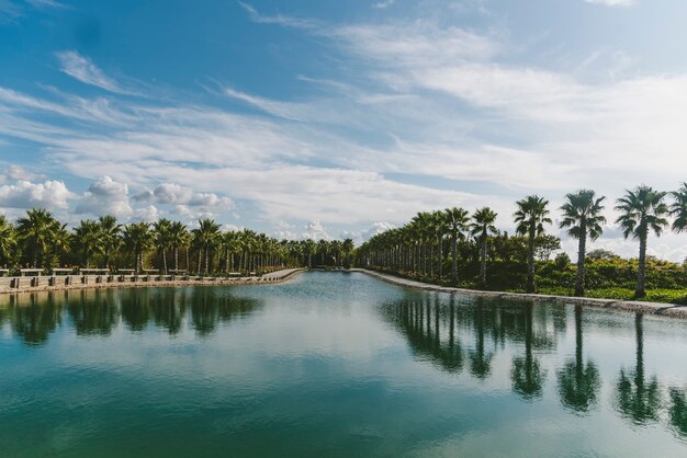 Palmen van een prachtige tuin weerspiegeld in het meer overdag