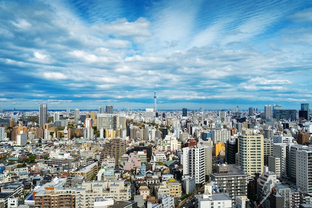 Panorama van stadsgezicht van tokyo in japan.