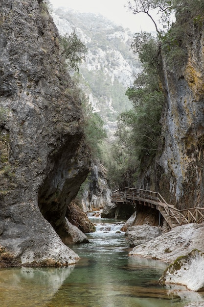 Gratis foto panoramisch uitzicht op bos en rivier