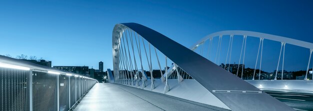 Panoramisch zicht op de Schuman-brug 's nachts, Lyon.