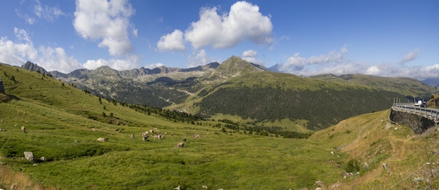 Panoramische opname van koeien die grazen in een veld omringd door prachtige bergen onder de bewolkte hemel