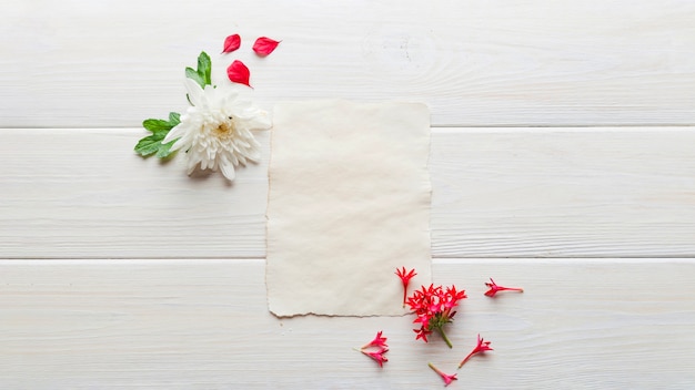 Papier gerangschikt met zachte bloemen