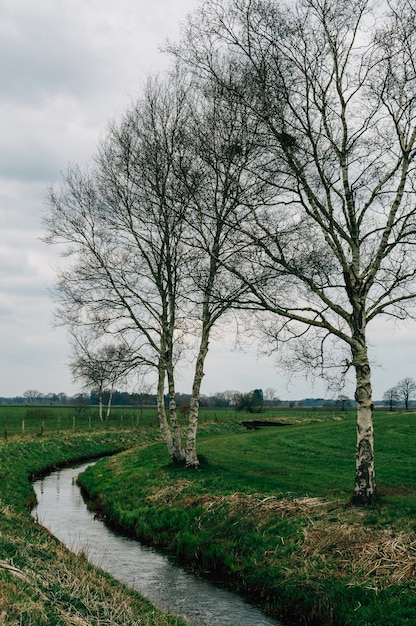 Gratis foto park bedekt met groen onder een bewolkte hemel in teufelsmoor, osterholz-scharmbeck