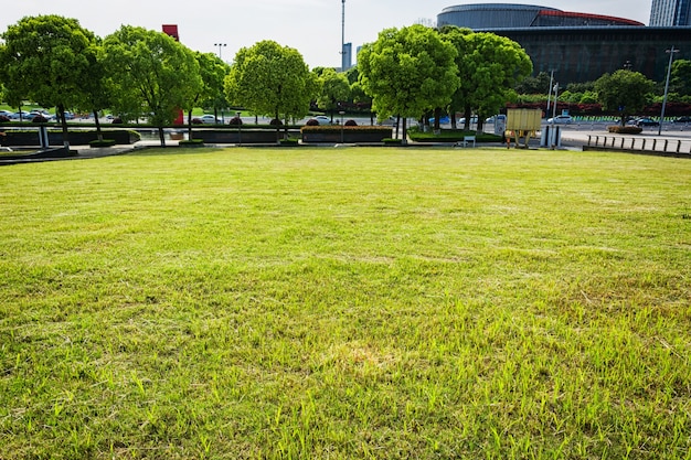 Park in Lujiazui financieel centrum, Shanghai, China