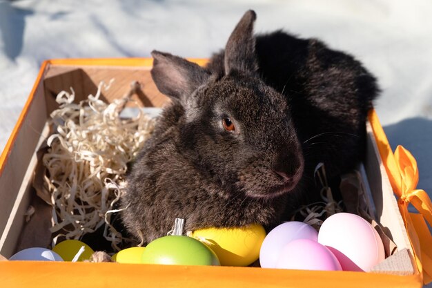 Pasen bruin konijn met bruine ogen in een houten witte mand met een kleurrijk lint en paaseieren