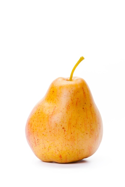 Gratis foto peren geïsoleerd op witte achtergrond