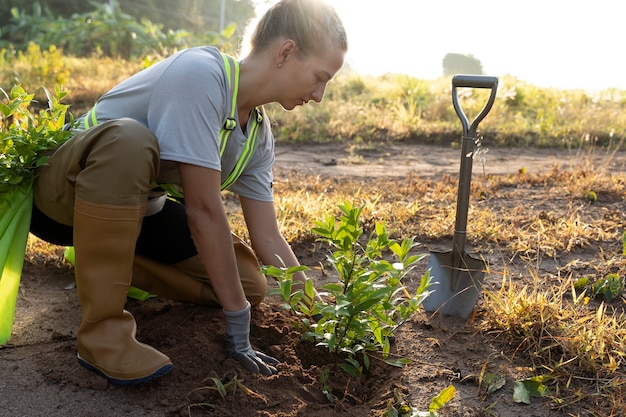 Persoon die boom plant op het platteland