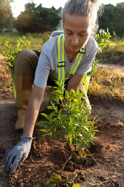 Persoon die boom plant op het platteland