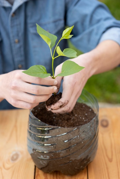 Persoon die een plant vasthoudt in een plastic pot