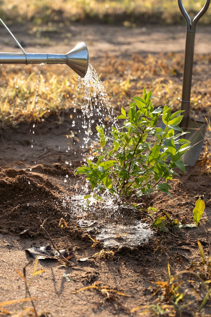 Gratis Foto persoon die plant water geeft