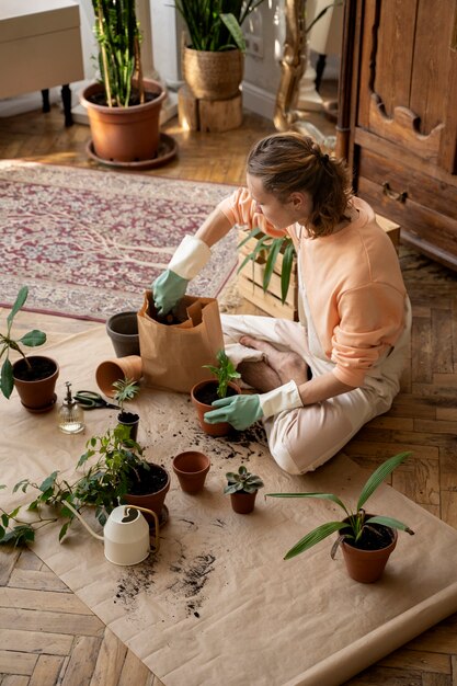 Persoon die planten in nieuwe potten overplant