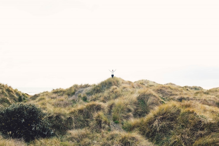 Gratis Foto persoon die zich bovenop een heuvel bevindt die in droog gras onder de duidelijke hemel wordt behandeld