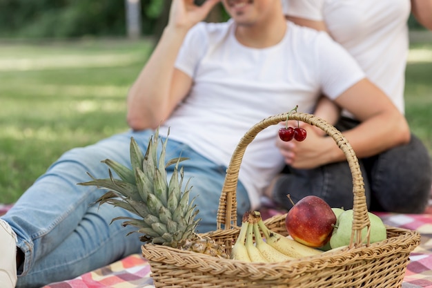 Picknickmand met fruit dichtbij zicht