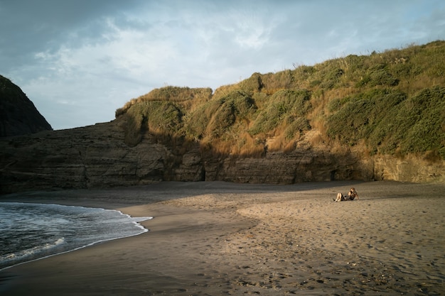 Gratis foto piha gap in het late avondlicht