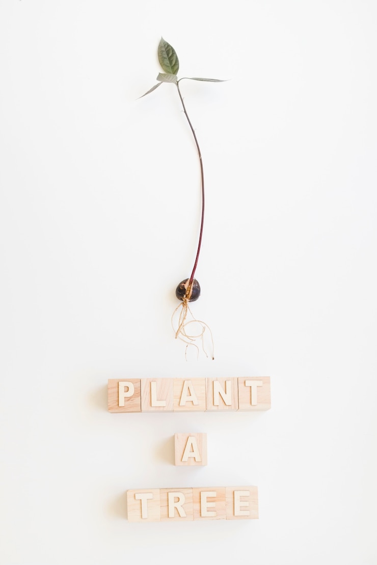 Gratis Foto plant a tree-woorden en bloemblad