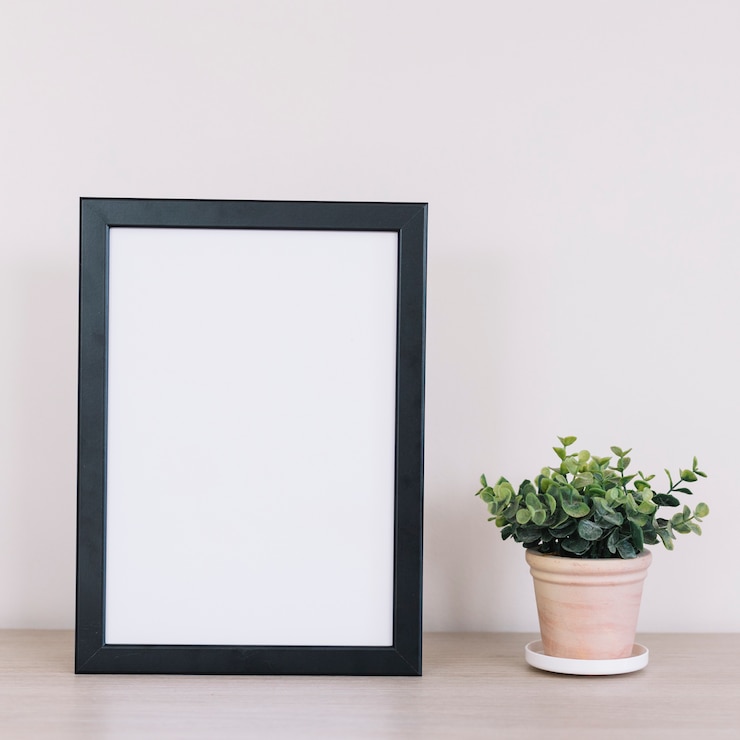 Gratis Foto plant en een frame